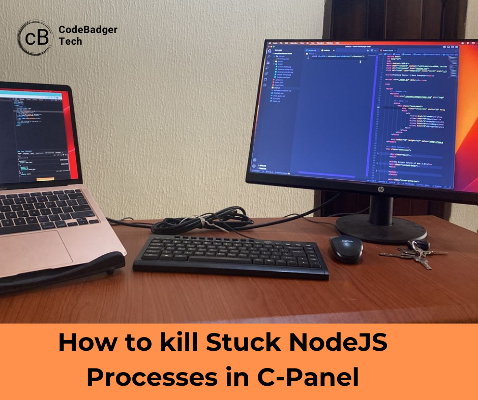 HOW TO KILL STUCK AND UNUSED NODEJS PROCESSES IN C-PANEL USING A CRON JOB          